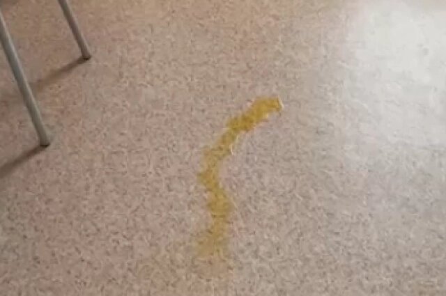    Фото: Скриншот из сообщества "ЧС Тюмень"