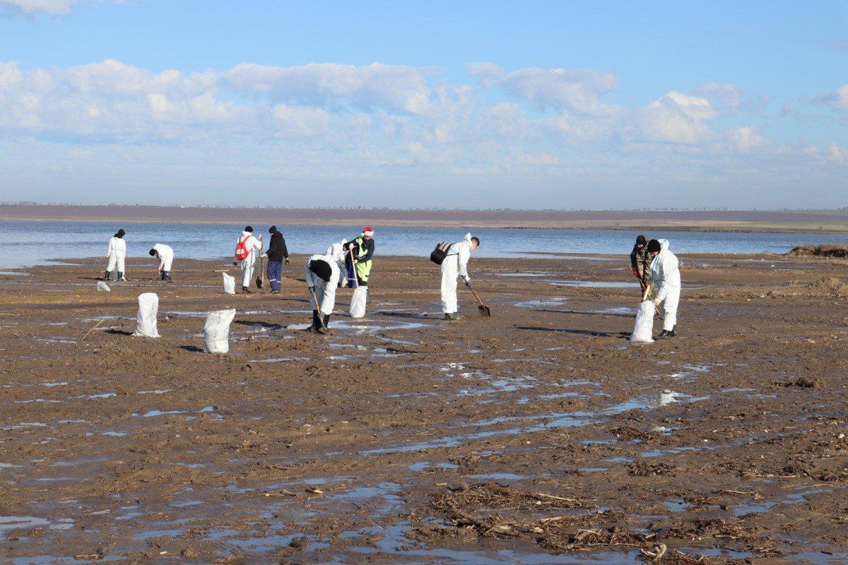    Фото: пресс-служба Оперштаба Краснодарского края