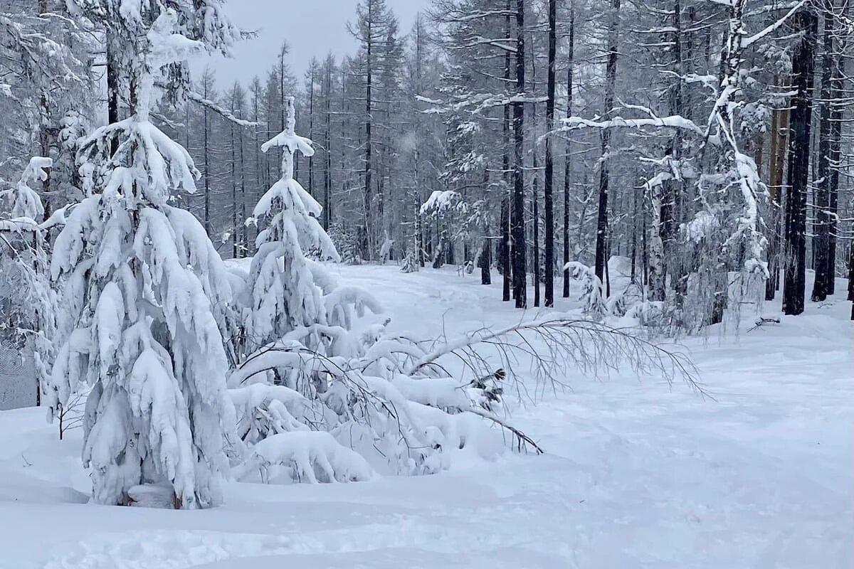 Фото: UfacityNews.ru