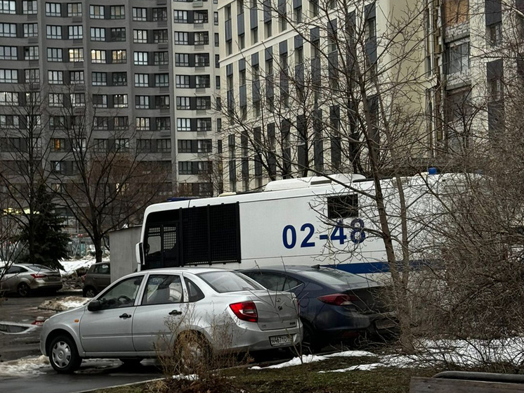 Фото: Анастасия Нефедова