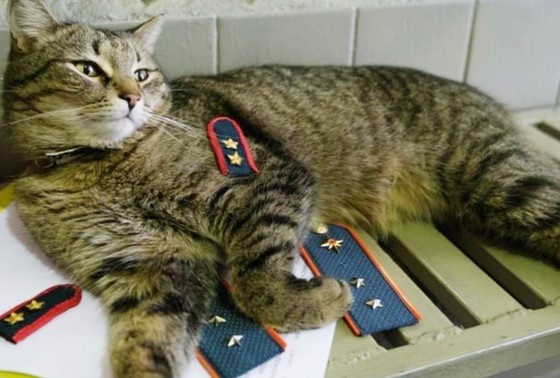 Скрины из видео