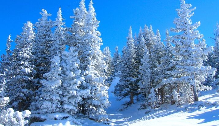 Фото из интернета. 