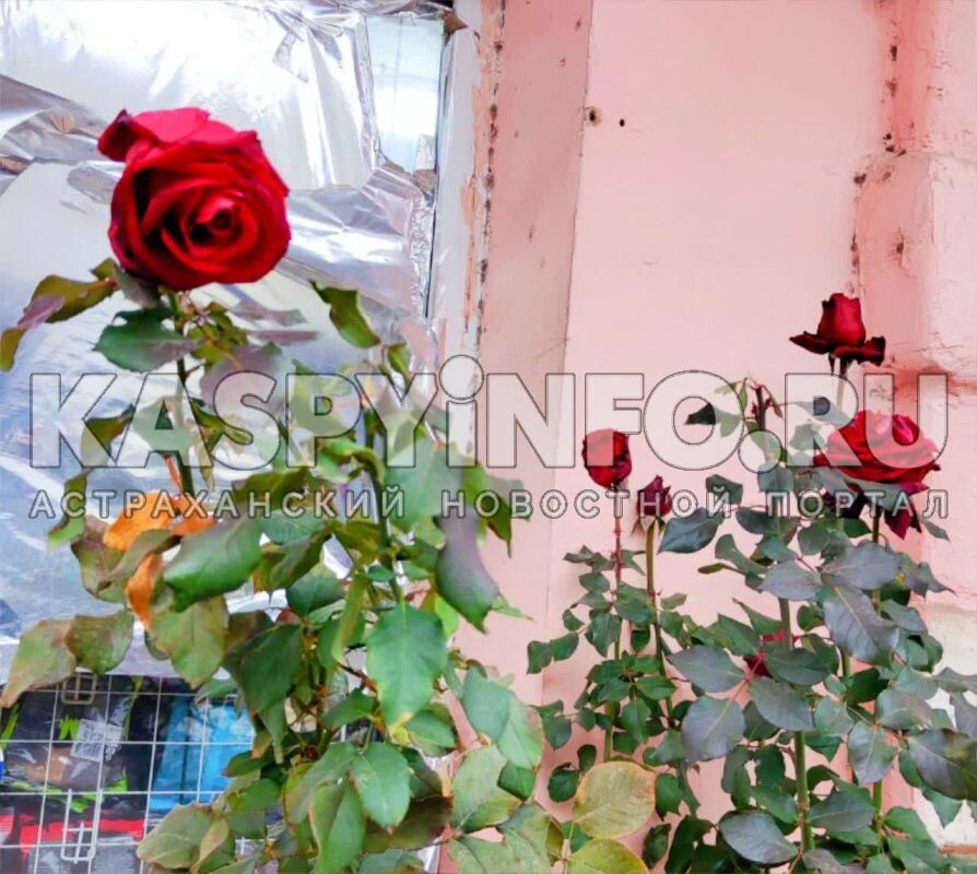 Фото: Читатели КаспийИнфо