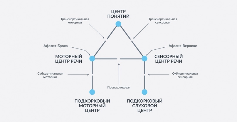 Схема Вернике – Лихтгейма – Гешвинда. Разрывы в линиях – это афазии, нарушения речи. Их подробно исследовал советский ученый А.Р. Лурия.