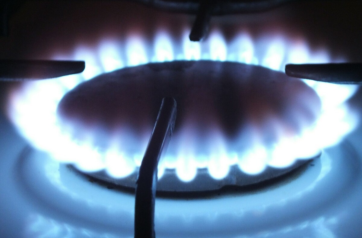     / Источник: © Victor Lisitsyn/Global Look Press