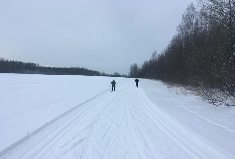    Сертоловская лыжня. Фото предоставлены героями публикации