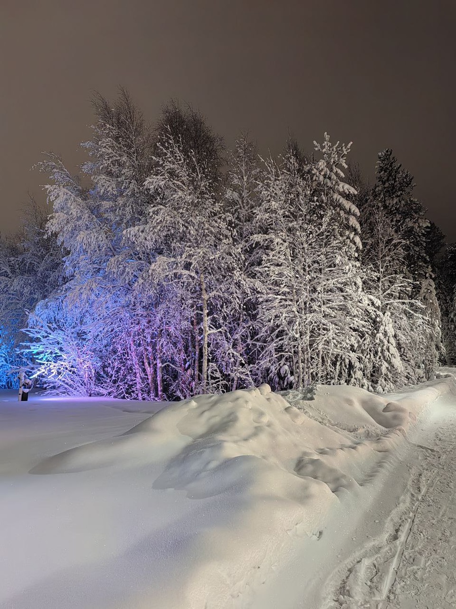 Фото автора. Немного Севера
