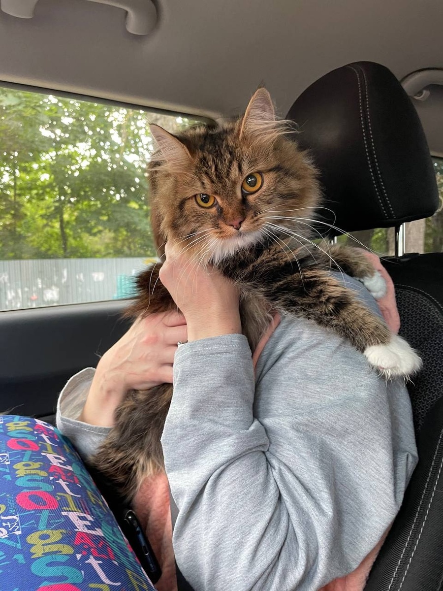 По дороге ДОМОЙ!