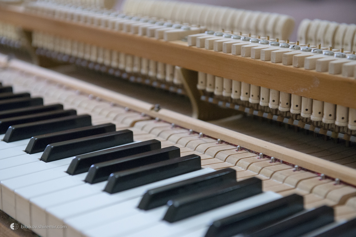 Кабинетный рояль "Без обложки". Автор: Евгений Бибиков (bibikov.shiremir.com)