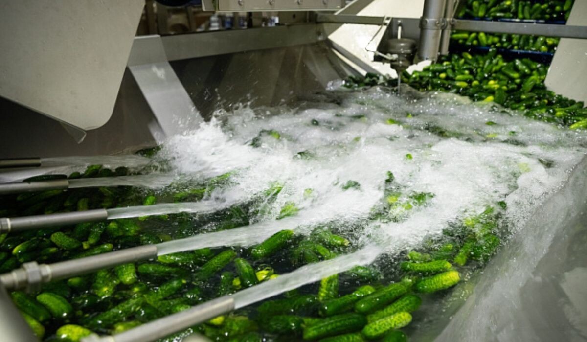     Производство. Источник: volgograd.ru Автор фото: Юлия Ермакова