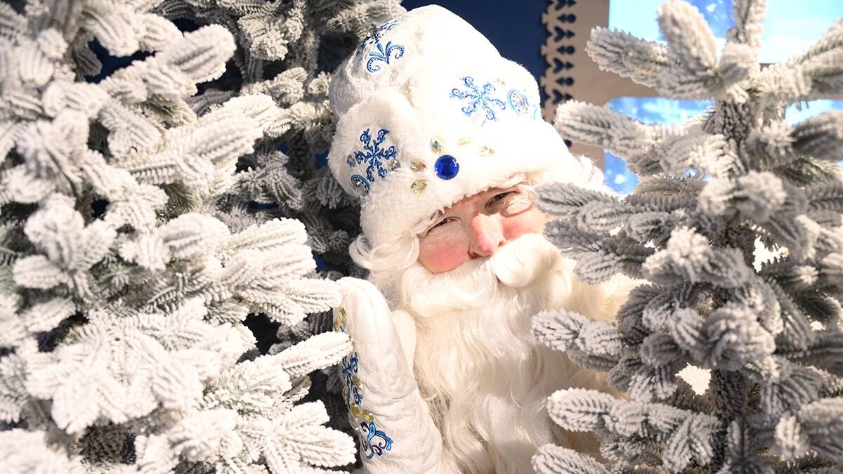    Фото: Пелагия Замятина / Вечерняя Москва