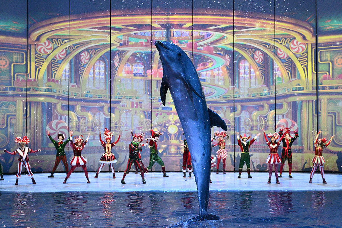 Кирилл Зыков / Sputnik