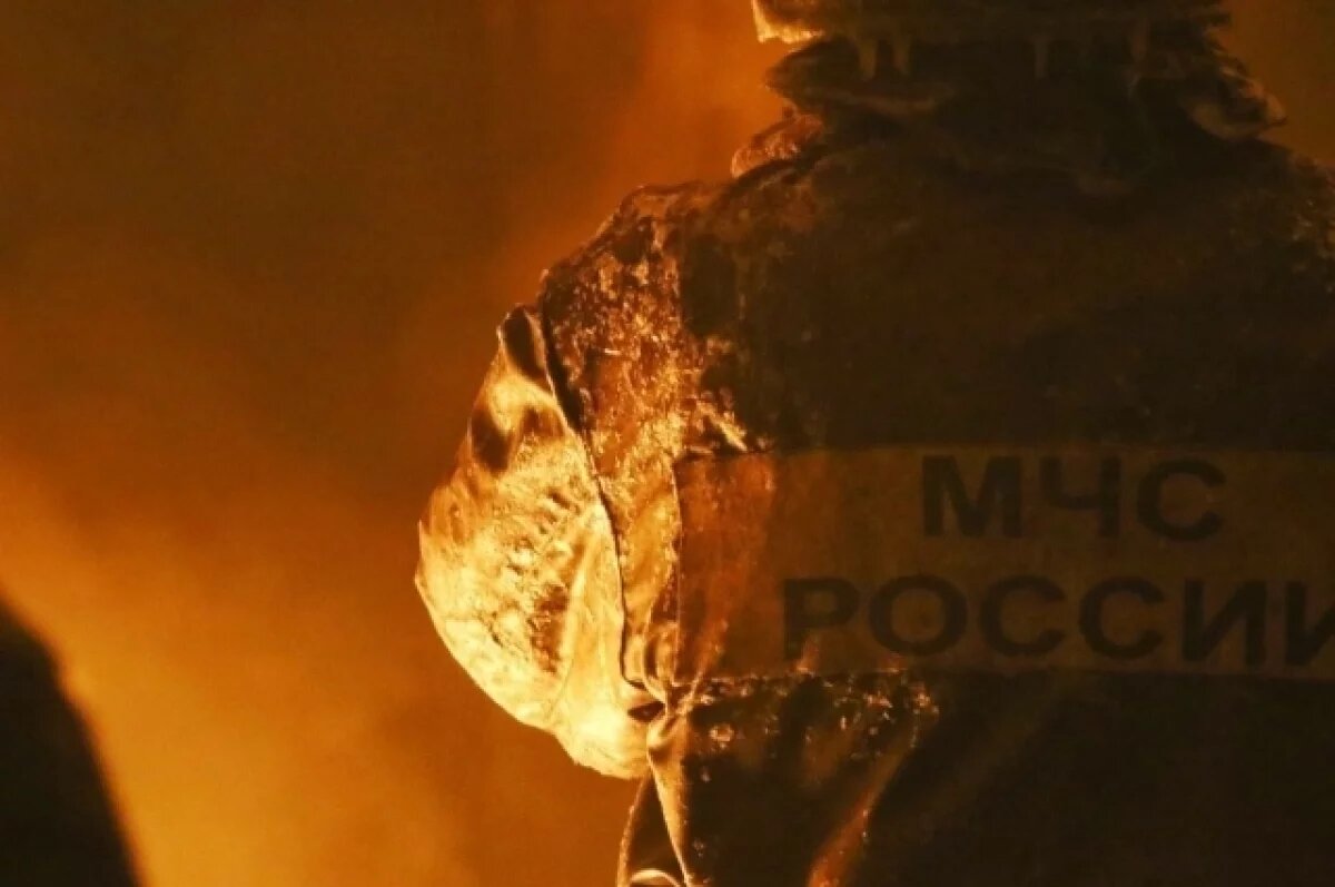    Более 200 опасных находок обезвредили псковские сотрудники МЧС в 2024 году