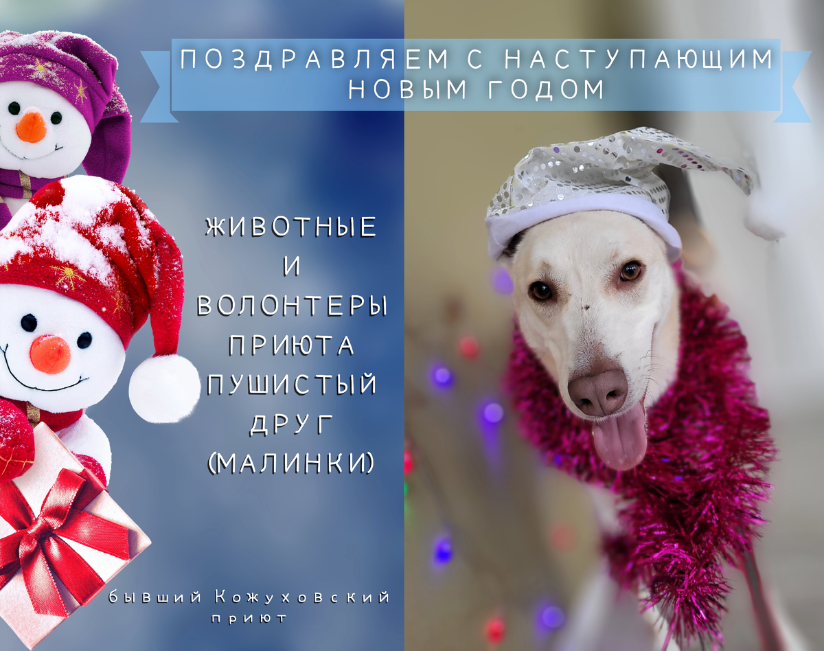 Наше поздравление вам, дорогие друзья