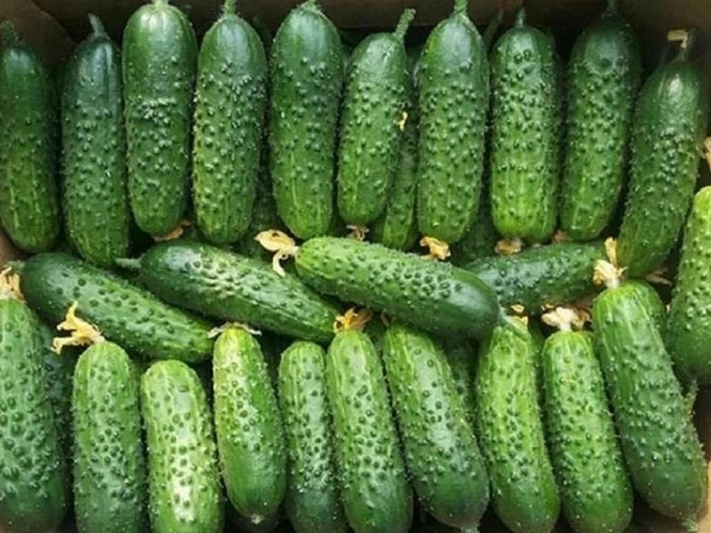 Маленькие, вкусные, и очень ароматные