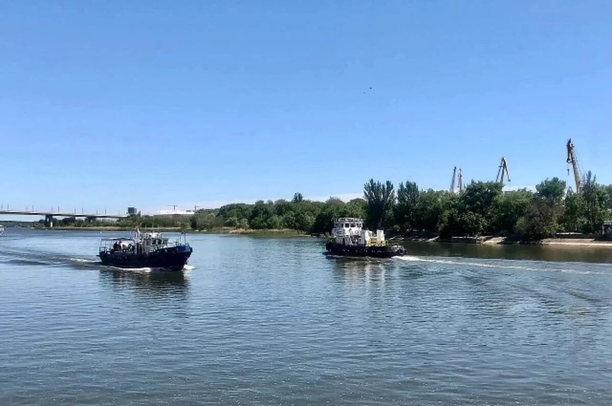    В Ростовской области из-за сильного ветра обмелеют берега реки Дон