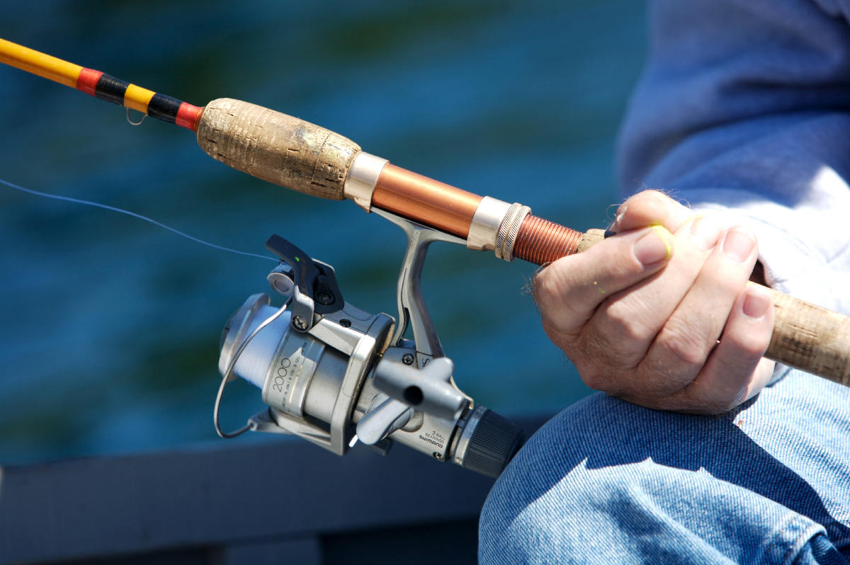 Фото: Jeanne Provost/Shutterstock/Fotodom