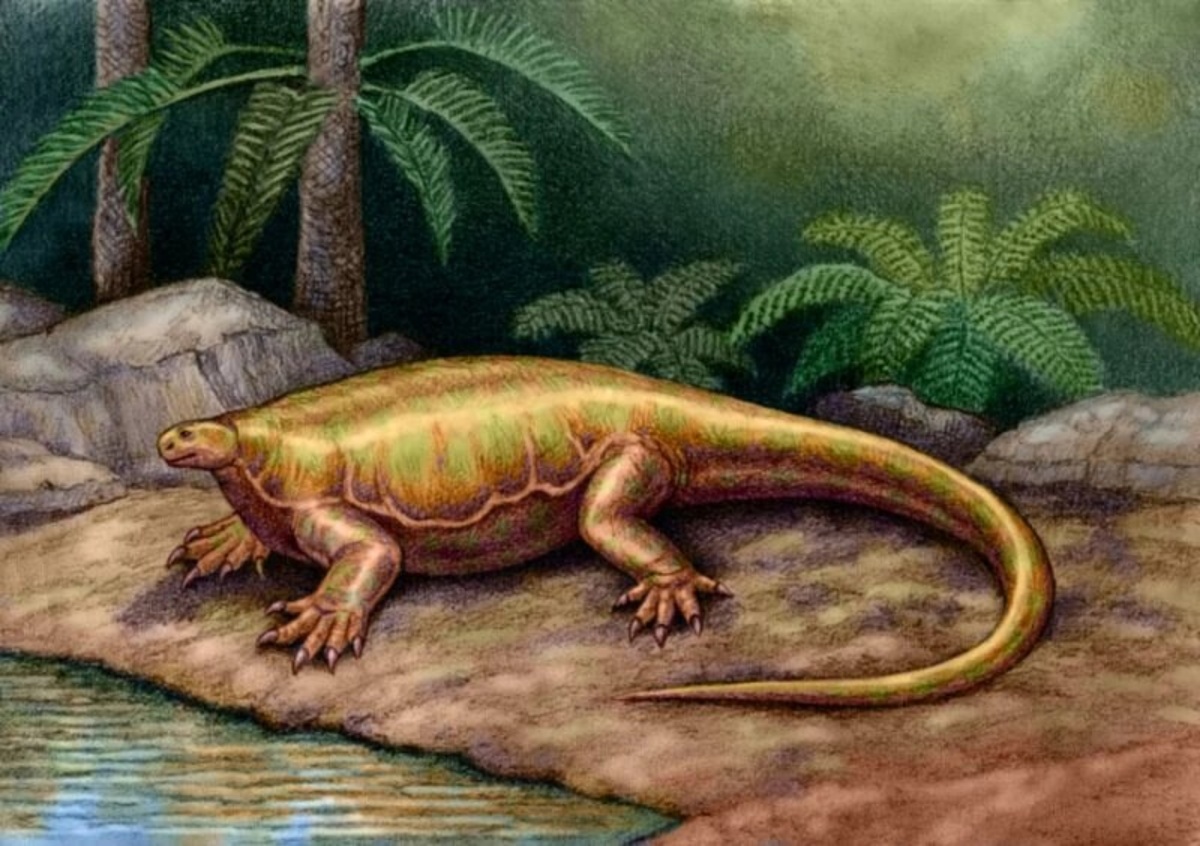 Лалиеудоринх.