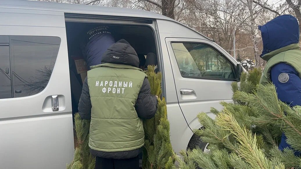    Молодежная команда Народного фронта дарит оренбургским семьям бойцов СВО новогодние елки Марина Шарт
