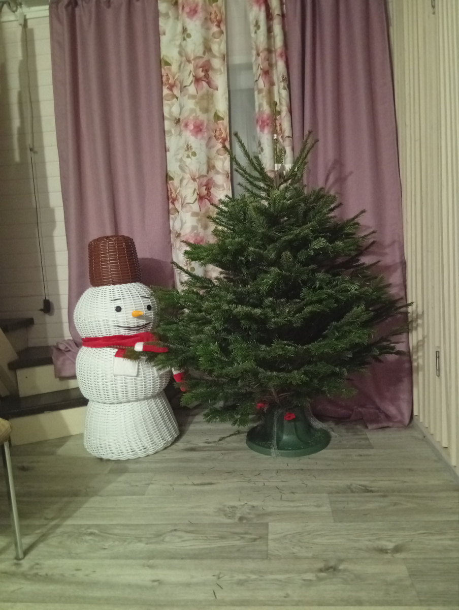 Новый год к нам мчится ( фото автора ) 