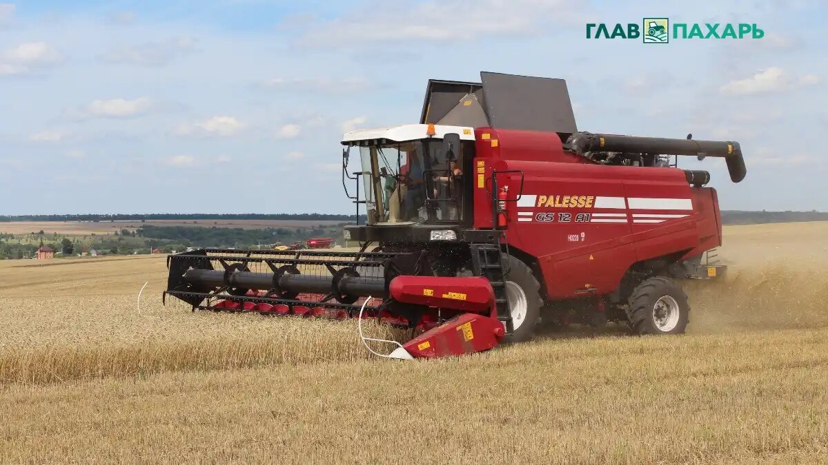 Фото: © Артем Борисов / Glavpahar.ru
Уборочная кампания с использованием белорусских комбайнов (фото иллюстративное)