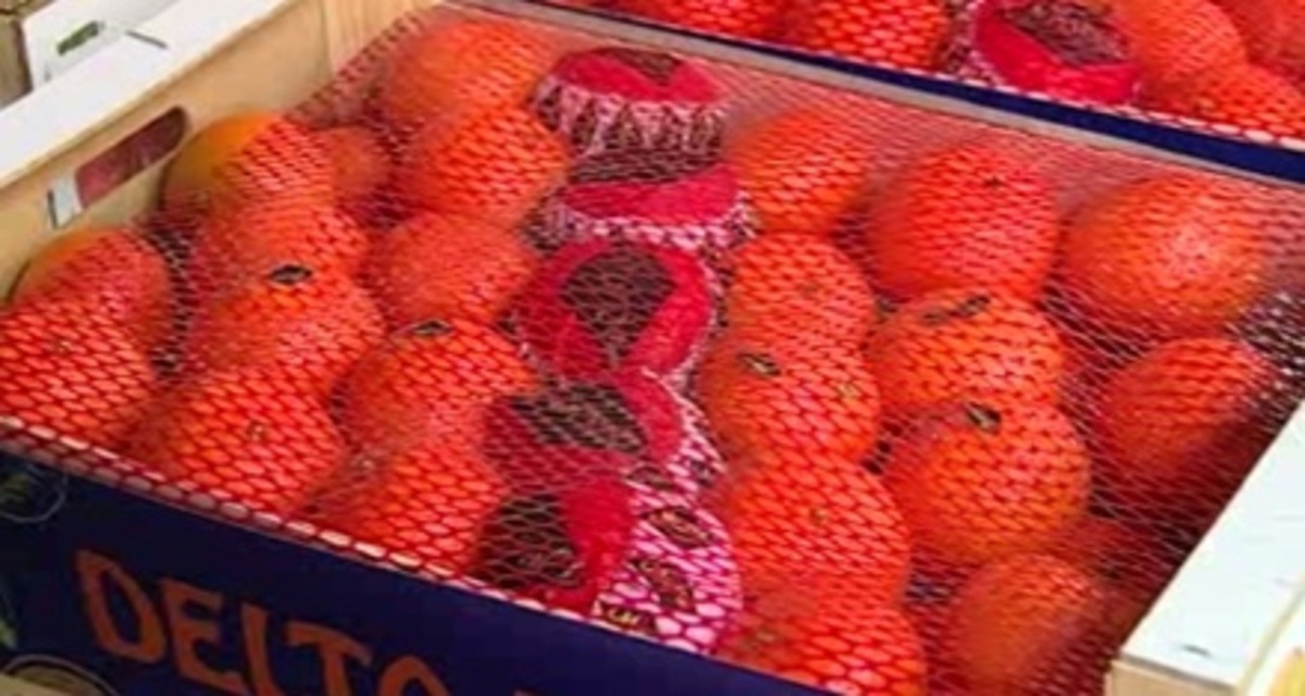    Гуманитарная помощь прибыла сегодня в Курск и из Грузии