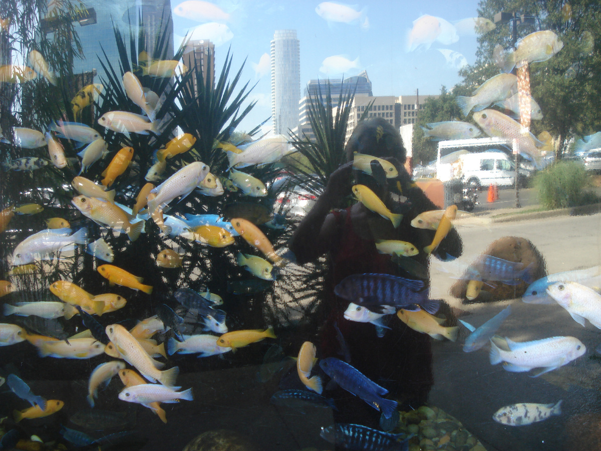 Аквариум у парадного входа.