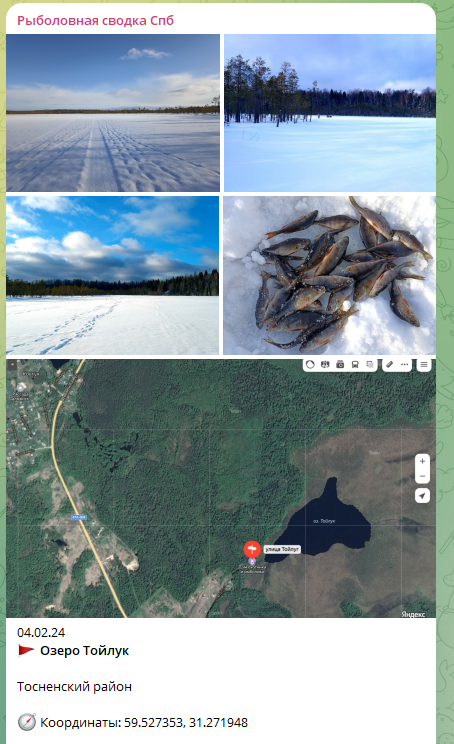 Мой Телеграм канал Рыболовная сводка СПб, там отчеты с координатами, ссылка в конце