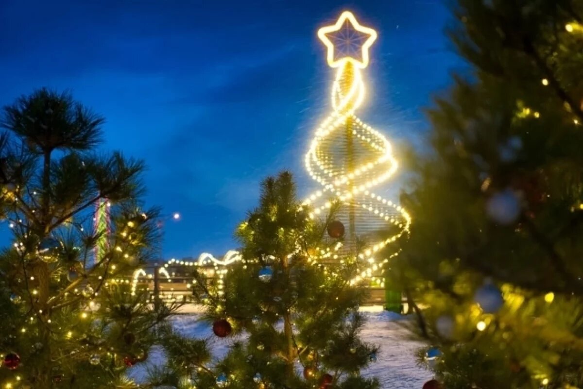    О новогодней и рождественской программе рассказали в волгоградском ЦПКиО