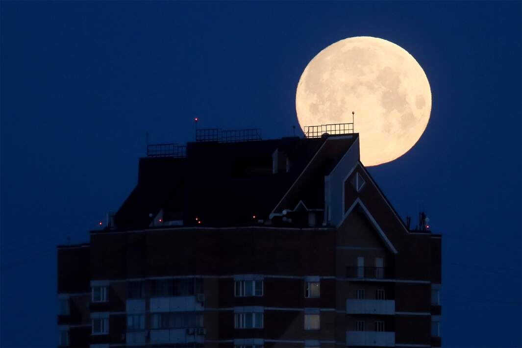 Фото: ИЗВЕСТИЯ/Александр Казаков