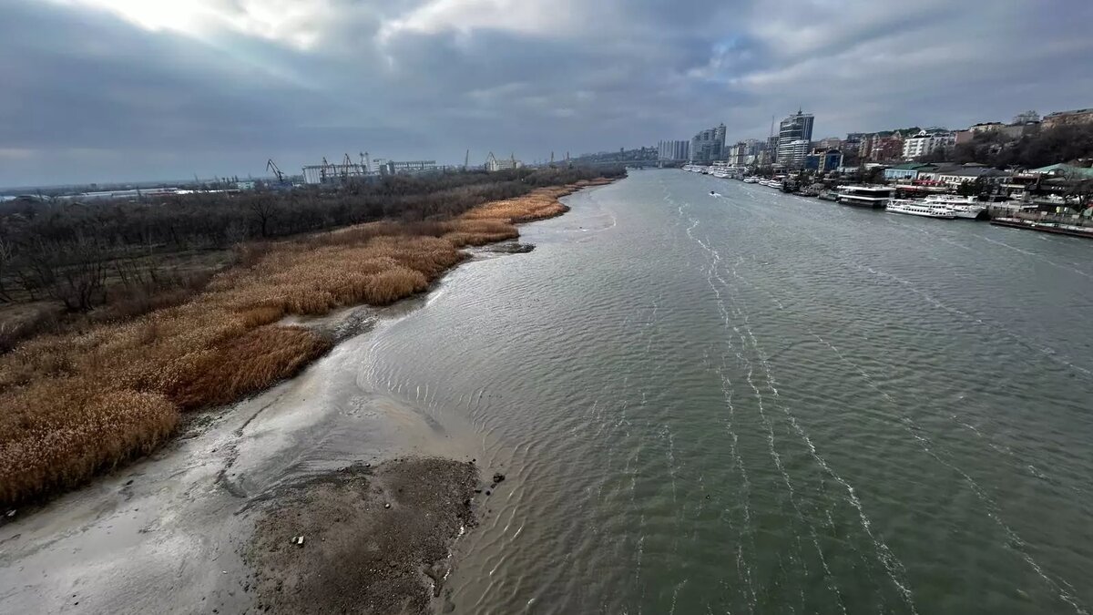     Источник: rostovgazeta.ru