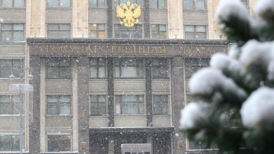    В Госдуму внесли проект о бесплатном образовании для супругов бойцов спецоперации Виктория Шварц