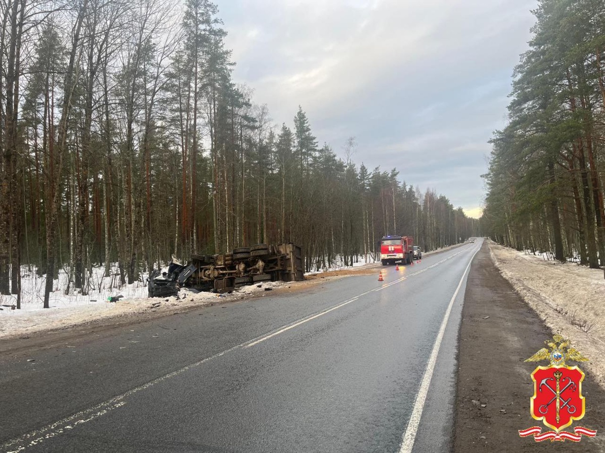 © ГУ МВД по Петербургу и Ленобласти