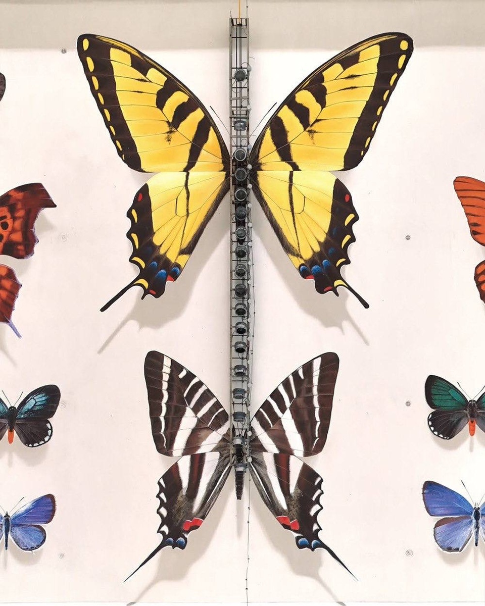 Юри Кансель создал масштабный мурал с бабочками в Майами  