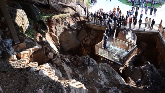    Китайские ученые нашли окаменелость крохотной древней кошки, которая могла уместиться на ладони человека Ирина Петрова