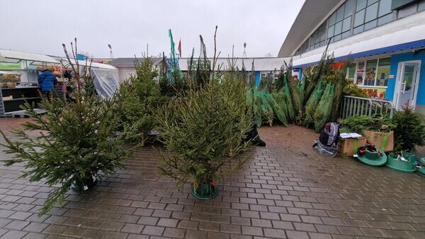    © Sputnik / Александр Жибуль