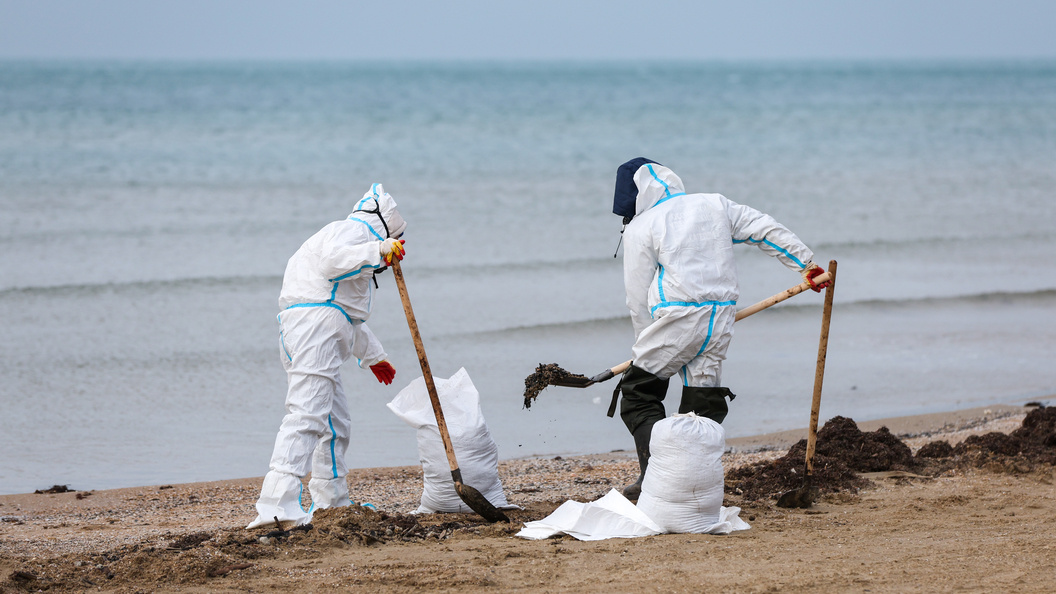    Belkin Alexey/Globallookpress