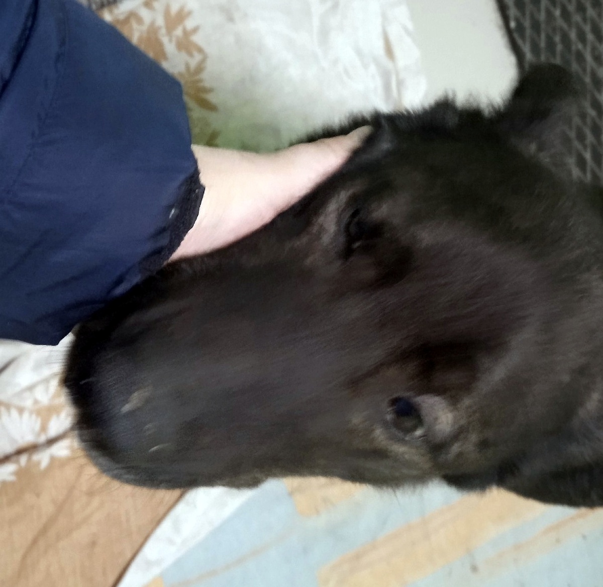 Ласковая и добрая девочка