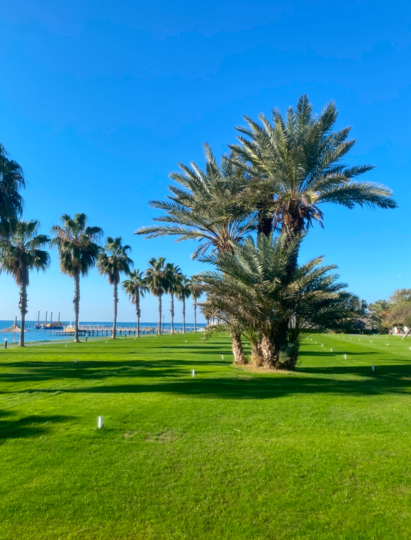 Voyage Sorgun 5* Турция