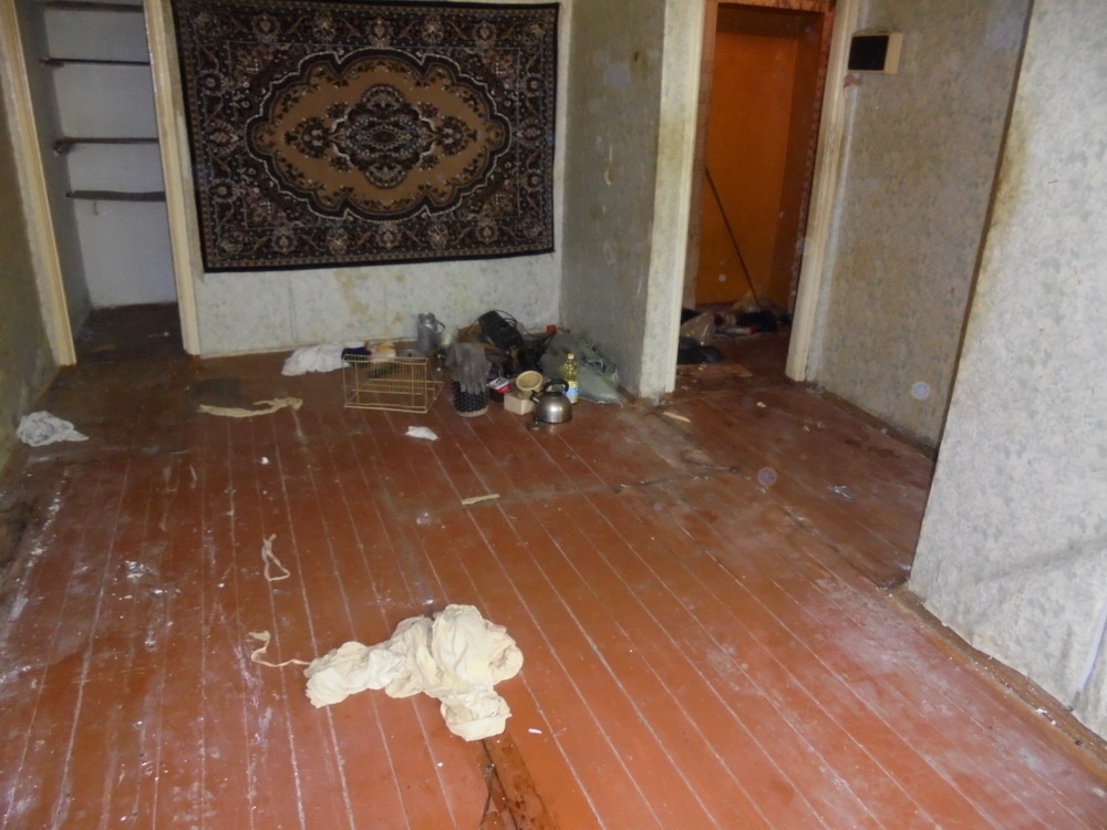 фото из открытых источников