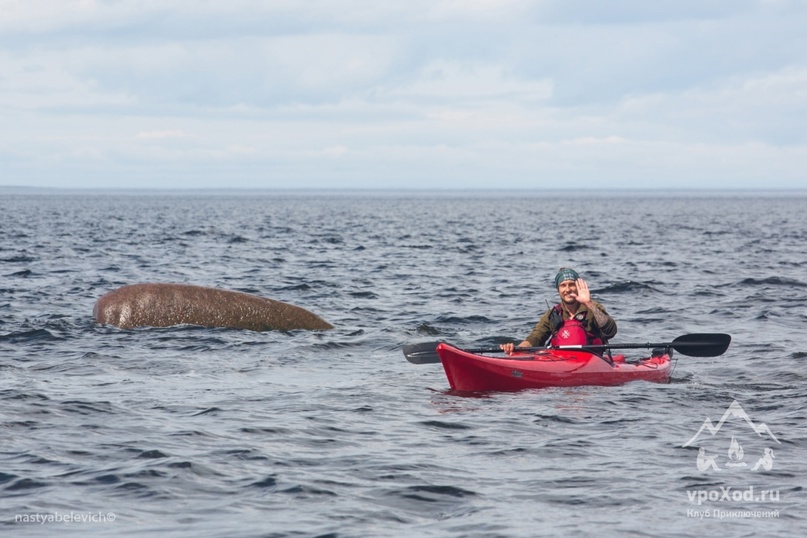 Андрей Митюрёв