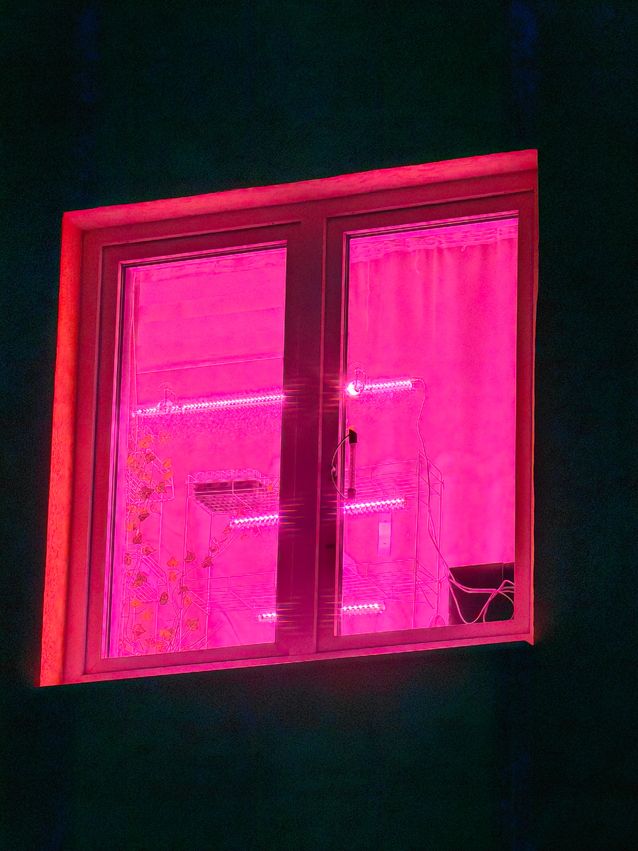 Моё нарядное розовое окошко) 