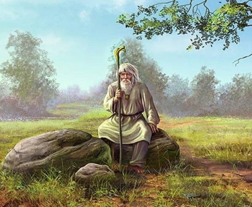 Фото взято из открытых источников