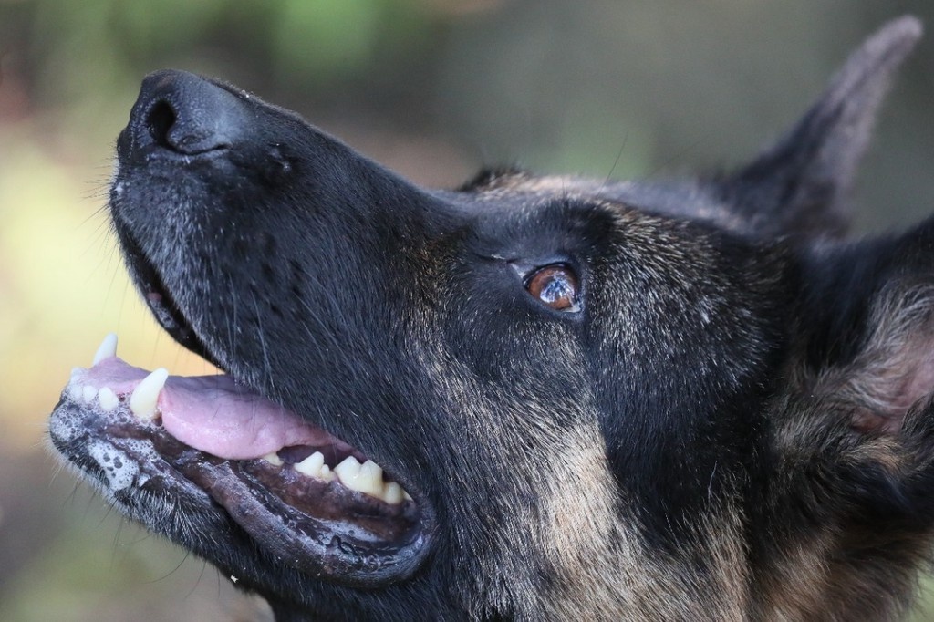    Фото © Владимир Гердо / ТАСС