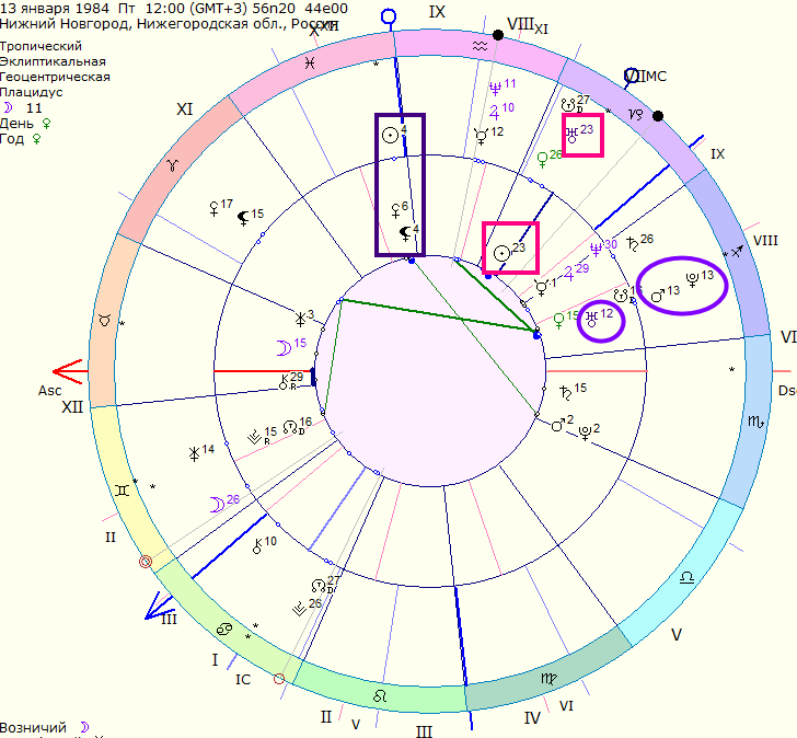 дирекции Светланы на дату дтп 23.12.2024