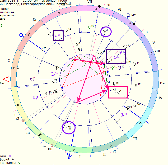 транзитная карта  Светланы на дату дтп