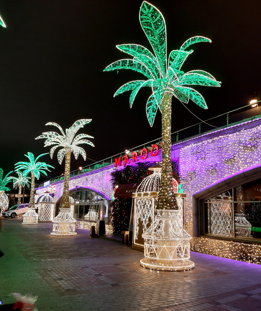 Новогодняя Москва 2025. Пальмы на набережной Тараса Шевченко. Декабрь 2024.