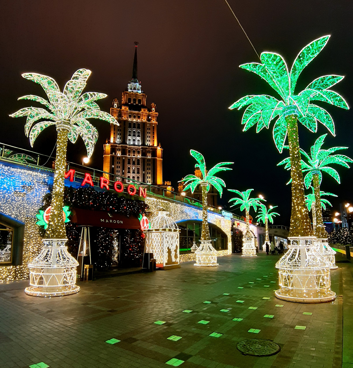 Новогодняя Москва 2025. Пальмы на набережной Тараса Шевченко. Декабрь 2024.