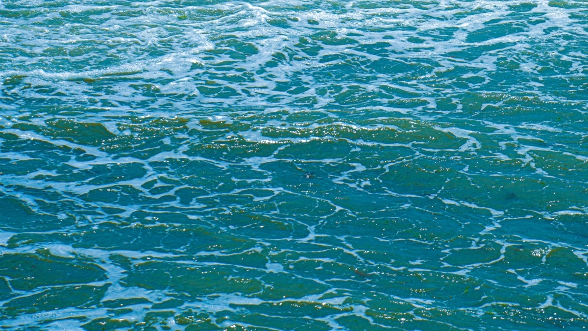 Фото: ИА SM-News📷
