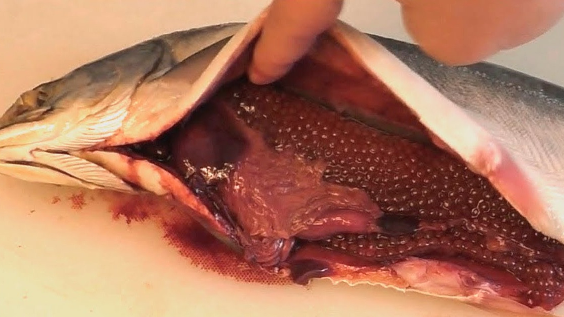 Самка горбуши с икрой отличного качества, вес икры 180 грамм
